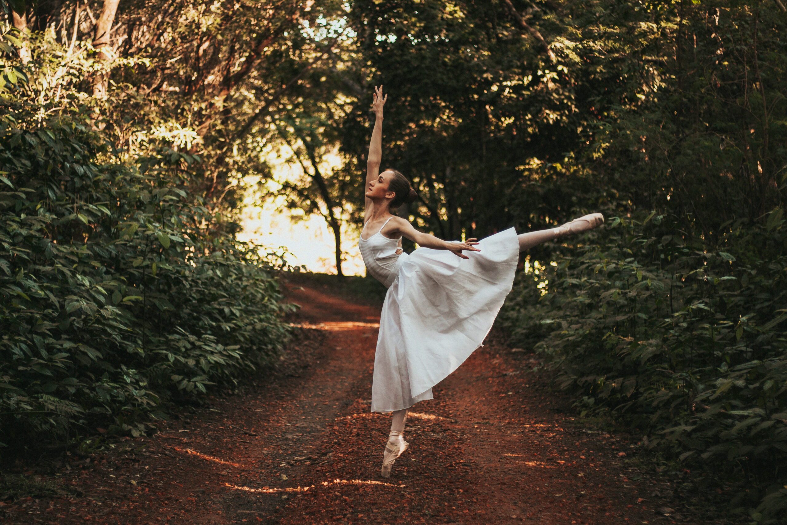 Ballet Exercises Done at a Barre nyt